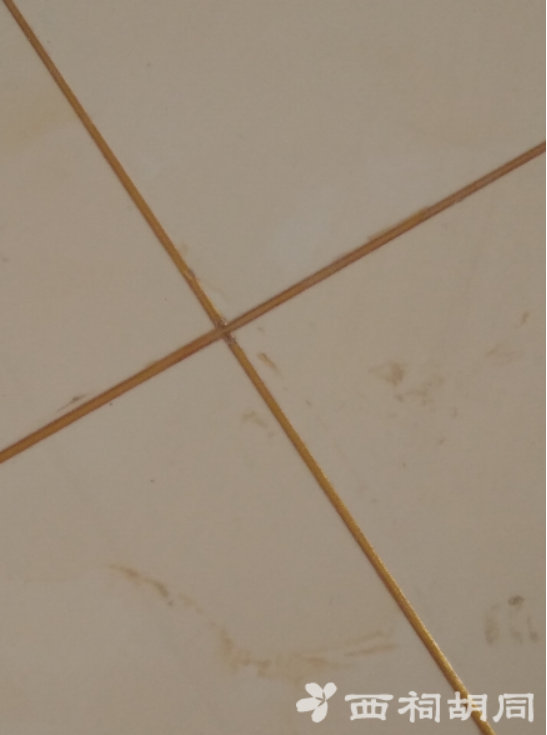 2019-05-06-172602_0002.jpg