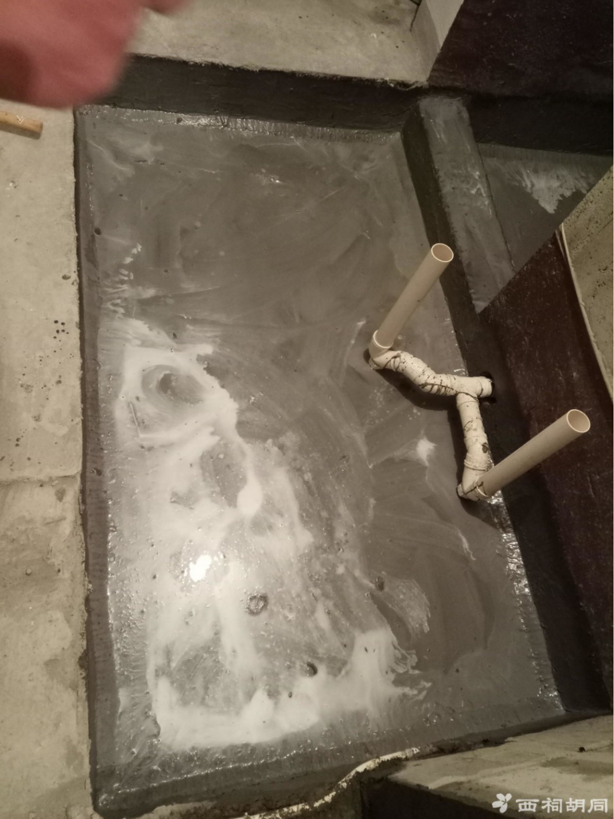 2019-06-20-101608_0001.jpg