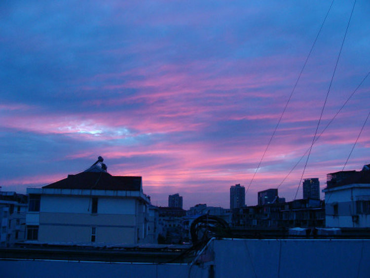 2019-08-16-093726_0007.jpg